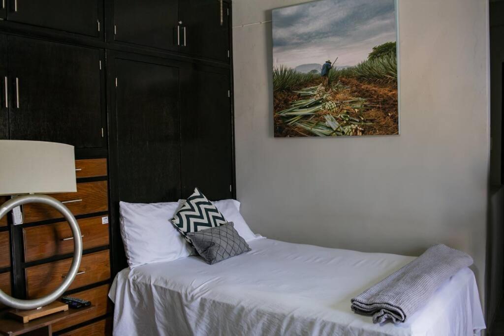 Hermoso Departamento Centrico Con Servicios Lejlighed Tequila Eksteriør billede