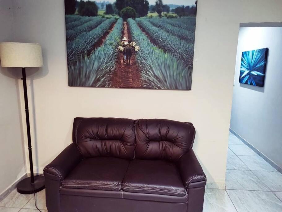 Hermoso Departamento Centrico Con Servicios Lejlighed Tequila Eksteriør billede