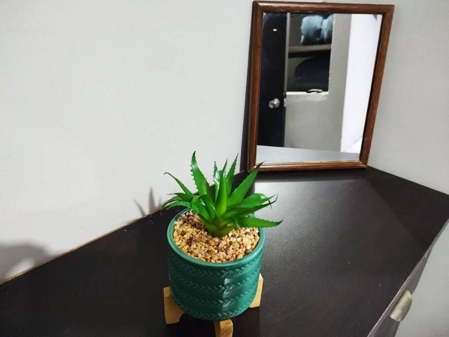 Hermoso Departamento Centrico Con Servicios Lejlighed Tequila Eksteriør billede